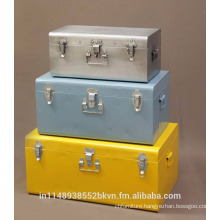 Industrial Metallic Storage Trunk